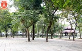 Văn Miếu dừng trông xe, lượng khách du lịch giảm